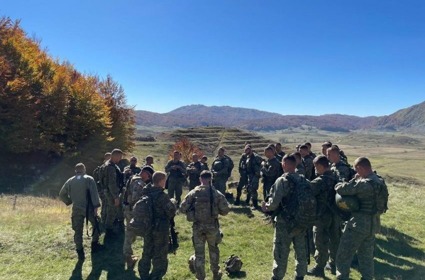  Dyfishohen aktivitetet ushtarake mes Kosovës e Shqipërisë, Mehaj: Bashkë jemi më të fortë
