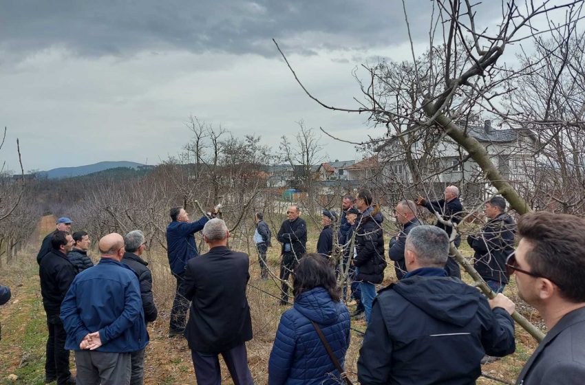  Trajnohen pemëtarët nga Drejtoria e Bujqësisë dhe Pylltarisë në Gjilan