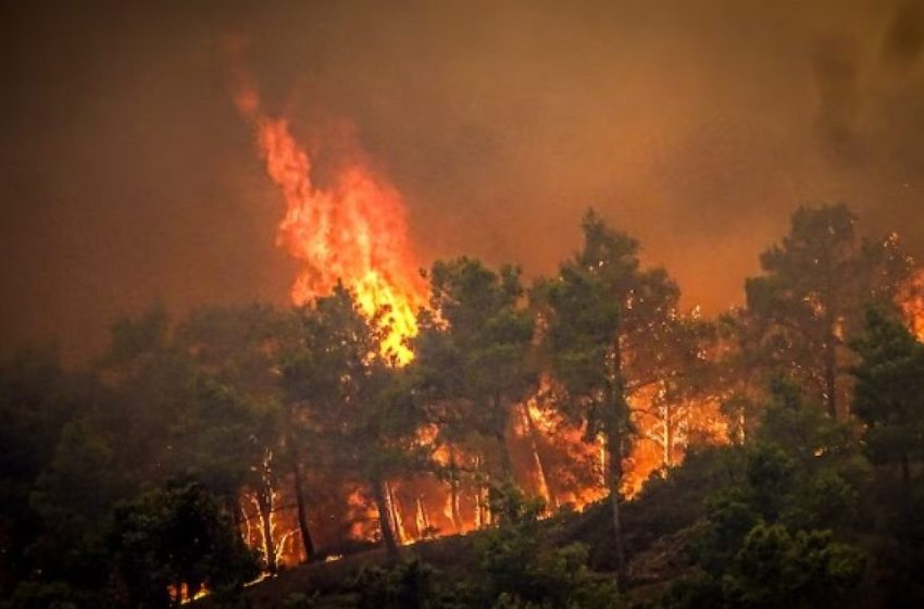  Zjarret djegin Rodosin, flet shqiptari në ishull: Turistët po evakuohen me aeroplanë