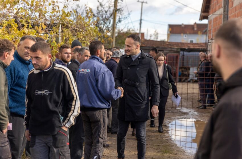  Komuna e Gjilanit shpërndan 153 lopë të racës Simental për fermerët