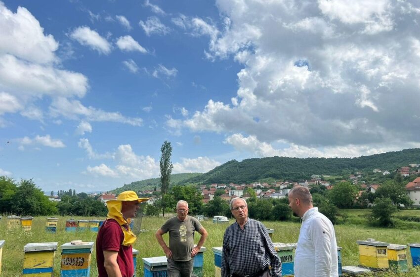  Në Ditën Botërore të Bletës, Drejtori Morina viziton bletarët e Komunës së Kamenicës