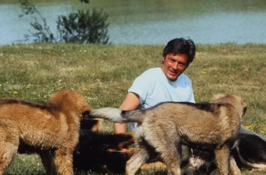  Dashuria e madhe e Alain Delon për kafshët, kërkonte që të varrosej pranë qenve të tij