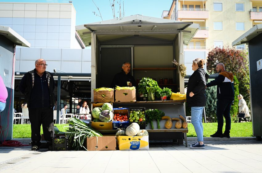  Kamenicë: Hapet panairi i prodhimeve bujqësore