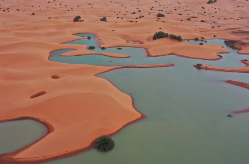  FOTO/ NASA publikon pamjet e pabesueshme, përmbytjet krijojnë liqene në Sahara