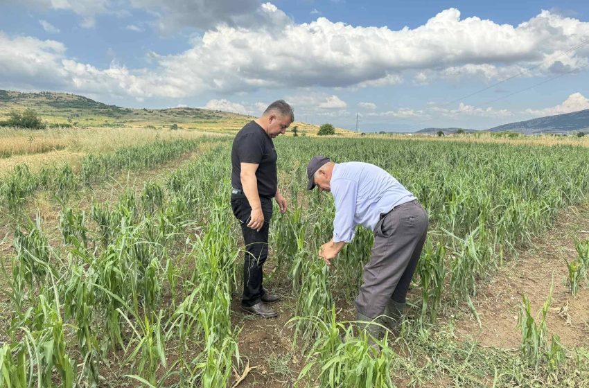 Drejtori Isufi: Po evidentohen dëmet që u shkaktuan nga breshëri dhe stuhia