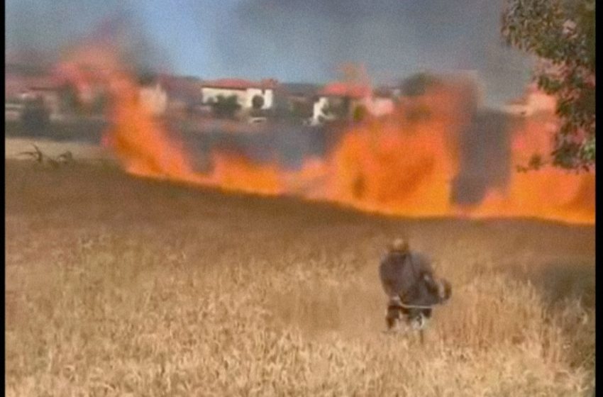Një zjarr i madh përfshinë një arë me grurë në Kamenicë afër një shtëpie, bujku tenton ta shpëtojë pjesën e paprekur