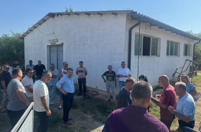  Shpërndahen 5 krerë gjedhe për fermerët e Komunës së Gjilanit