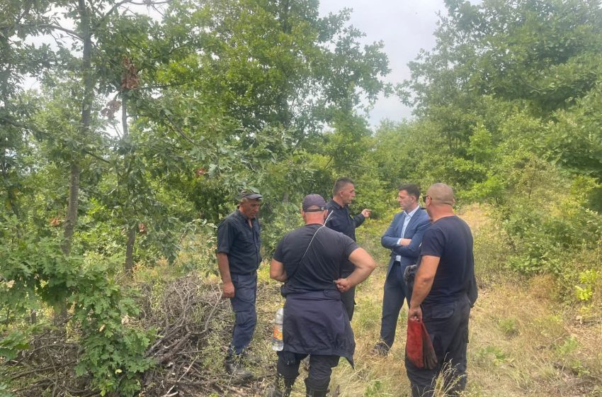  78 vatra zjarri sot në Kosovë, situata më e rënduar paraqitet në Vushtrri