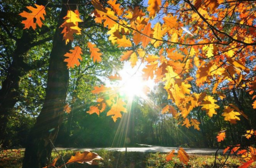  Kaq do të arrijnë temperaturat nesër në Kosovë