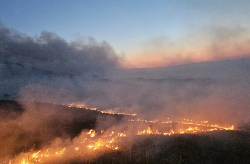  Zjarr në Novobërdë, përfshihen fusha pas përhapjes nga era