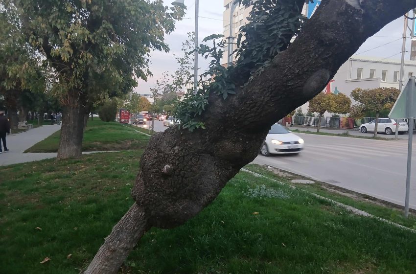  Moti nesër dhe ditëve në vazhdim