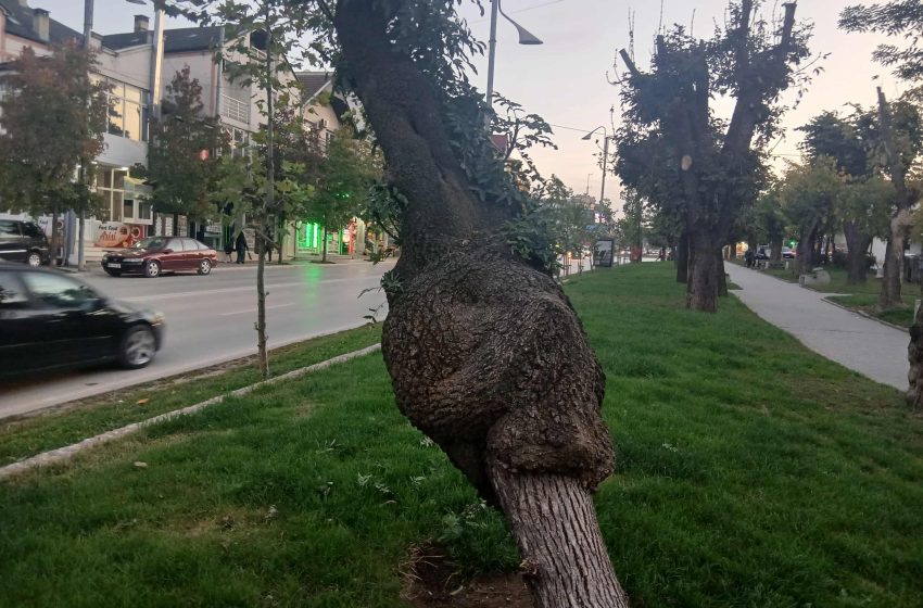 Parashikimi i motit për të enjten, 23 tetor 2025