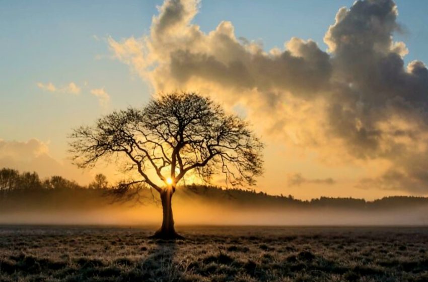  Parashikimi i motit për të martën, 09 dhjetor 2025