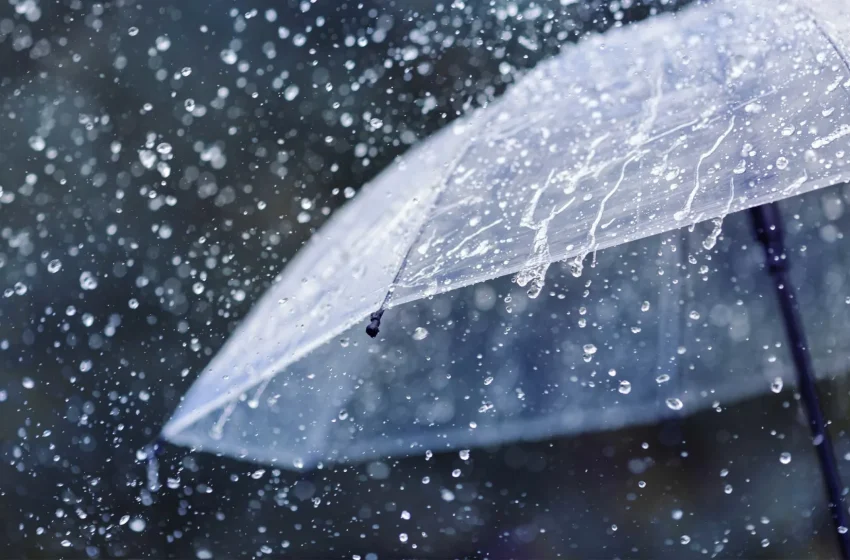  Parashikimi i motit për të premten