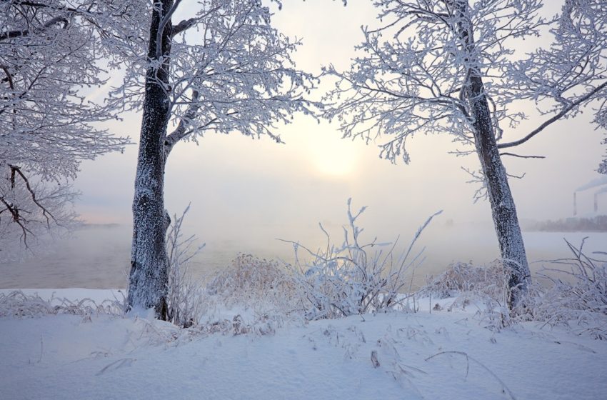  Moti nesër dhe ditëve në vazhdim! – 12 janar 2026 – e hënë