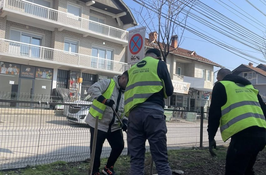  Kompleksi i ri i NPL “Tregu” në Gjilan po gjelbërohet