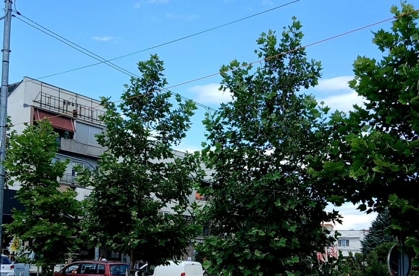 Parashikimi i motit për të premten, 19 qershor 2026