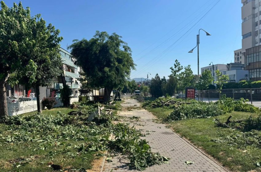  Kushtrim Kadriu: Qytetarët kanë votuar për Bulevardin dhe Parkun, reagimet për prerjen e lisave janë të çuditshme
