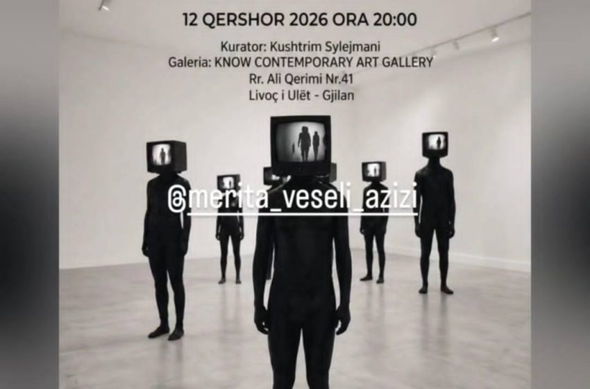  Din Azizi fton publikun në hapjen e galerisë së parë të artit bashkëkohor në Livoç të Ulët