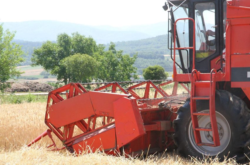  Ka nisur fushata e korrje shirjeve në Komunën e Vitisë